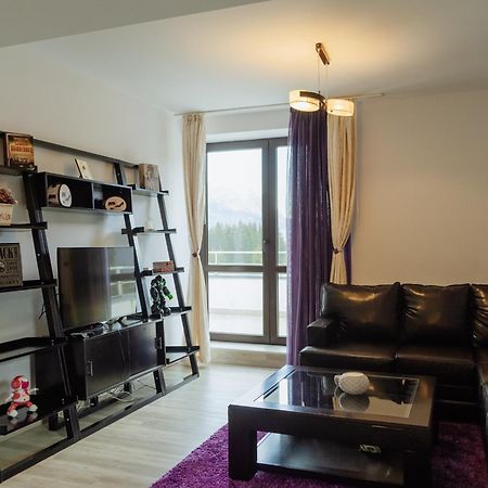 Panoramic Loft Colina Marei Apartment Sinaia Exterior foto