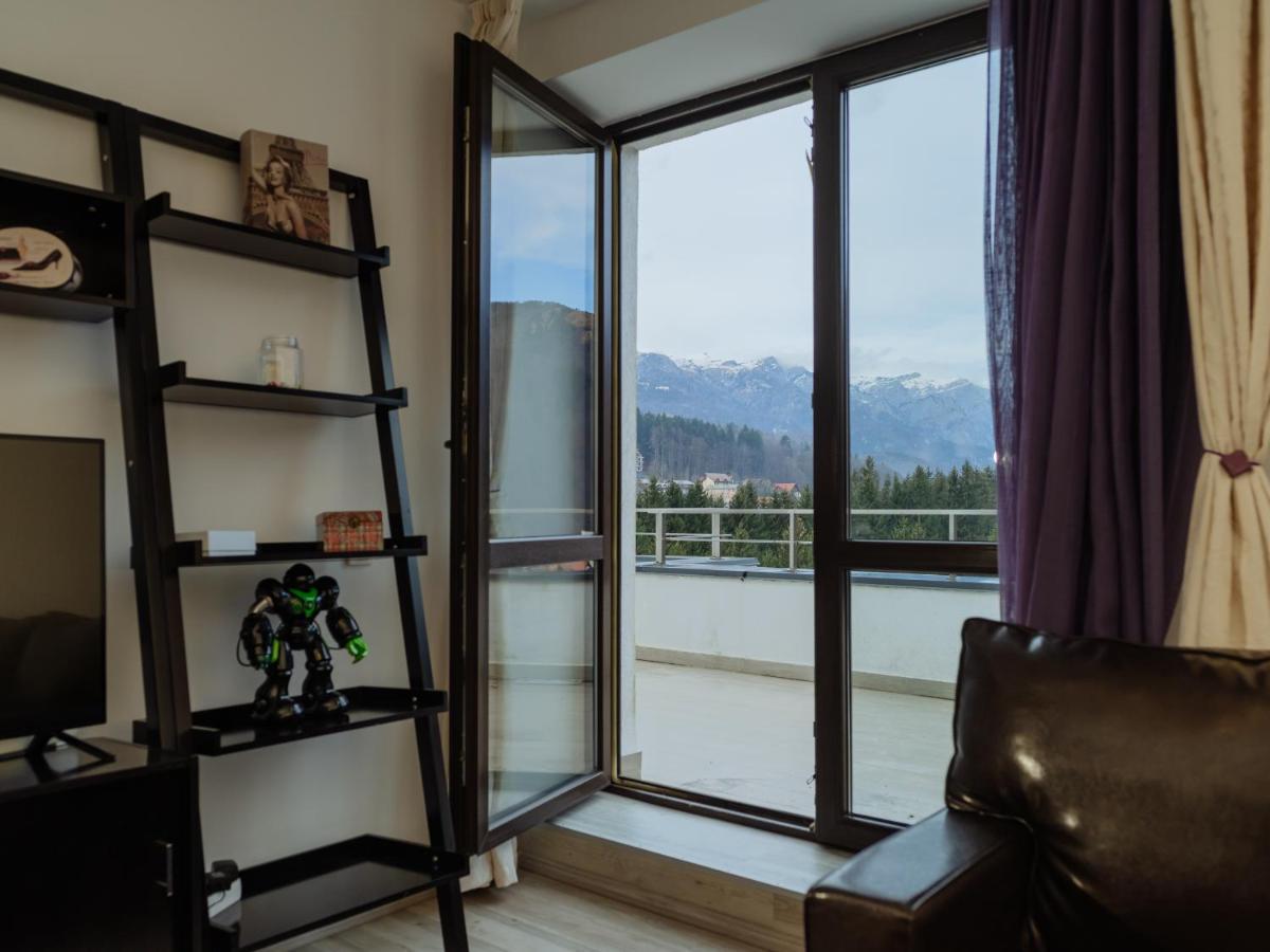 Panoramic Loft Colina Marei Apartment Sinaia Exterior foto