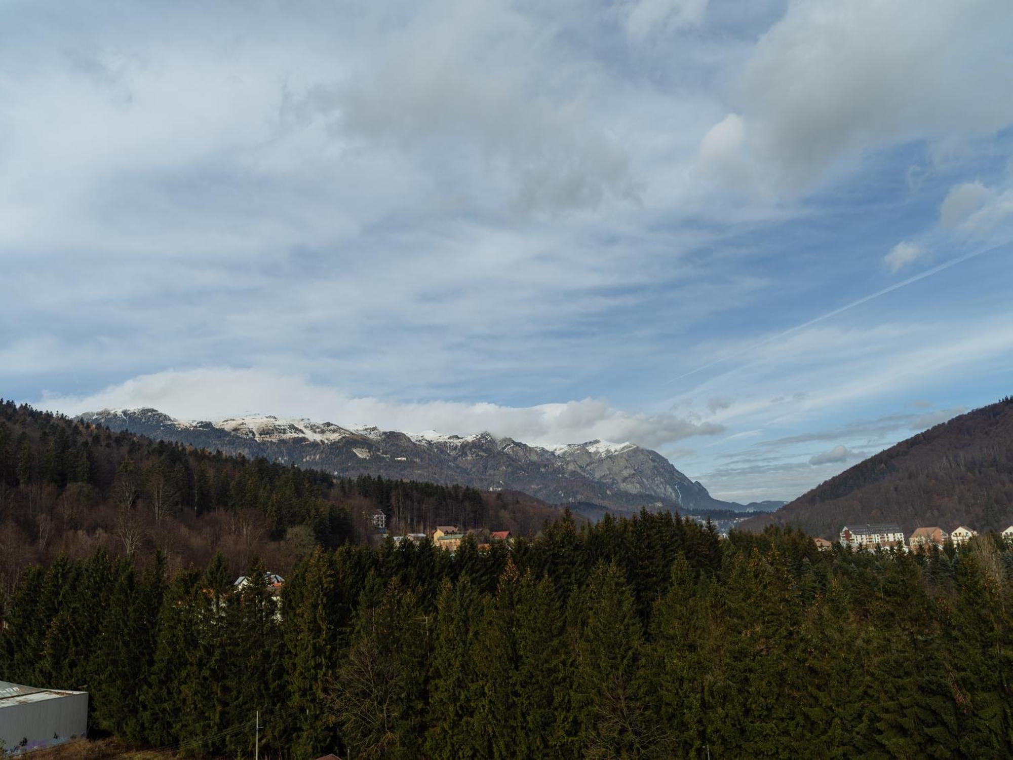 Panoramic Loft Colina Marei Apartment Sinaia Exterior foto