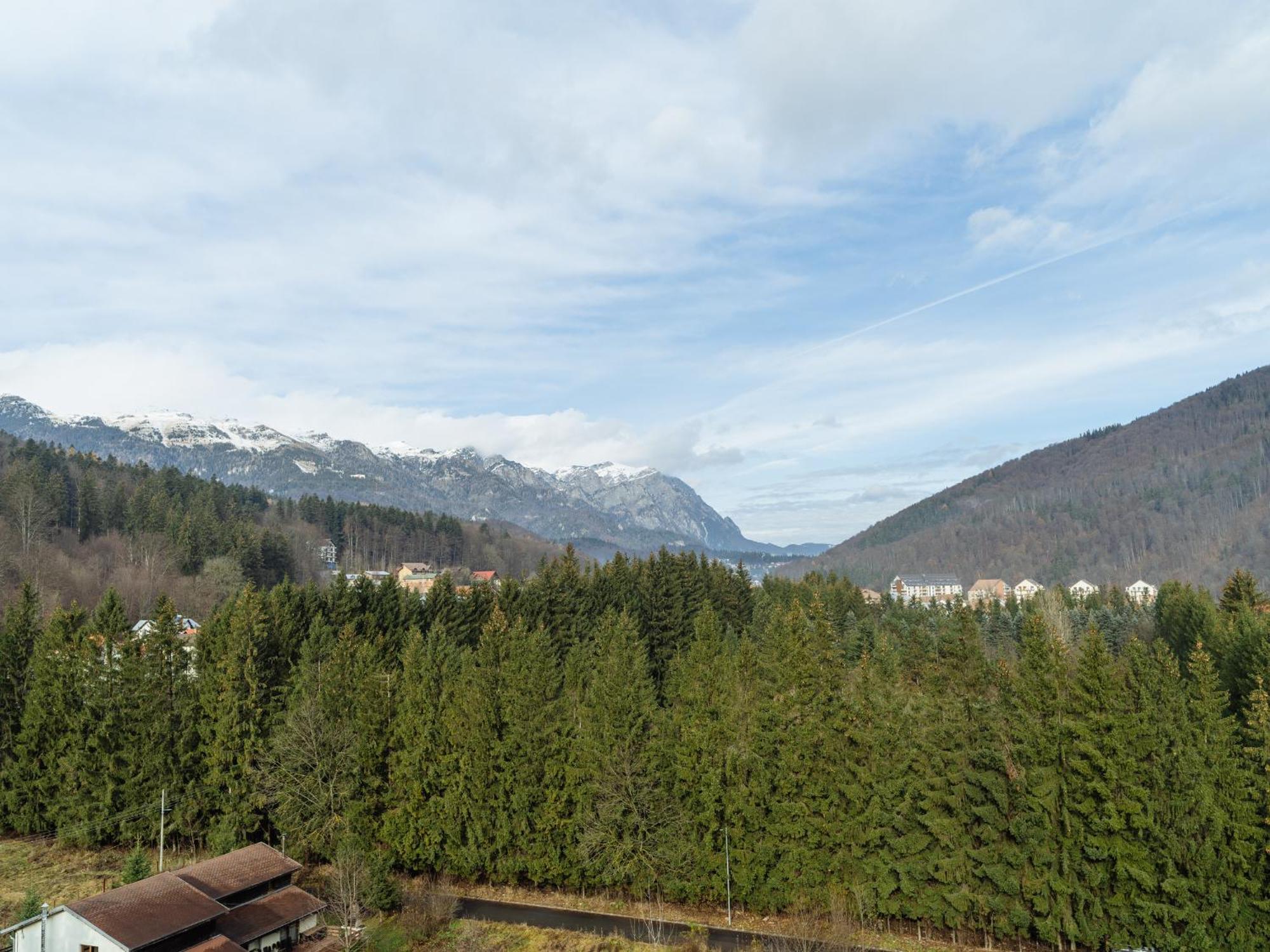 Panoramic Loft Colina Marei Apartment Sinaia Exterior foto